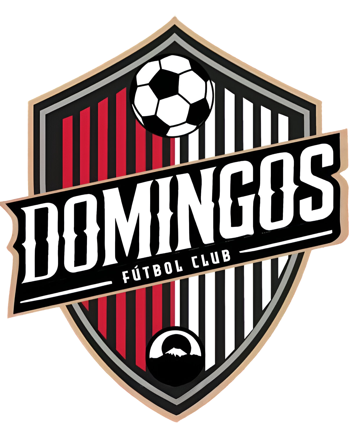 DOMINGOS FC
